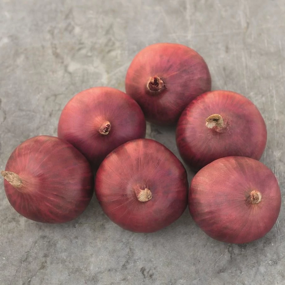 Onions